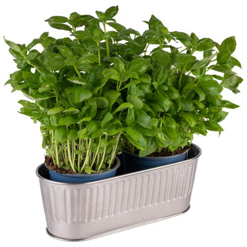 Besteckbehälter / Korb "UTENSILO"