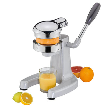 Profi-Saftpresse POSITANO, silber