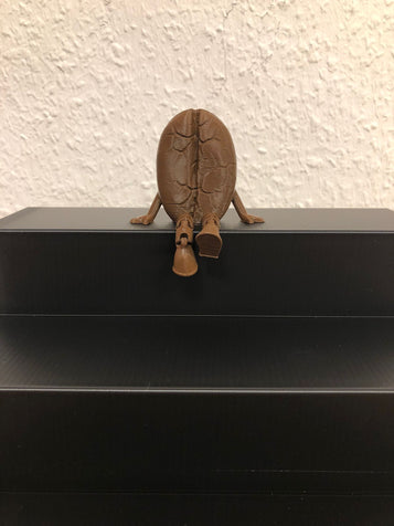 3D Flexi Kaffeebohnen geröstet dunkelbraun